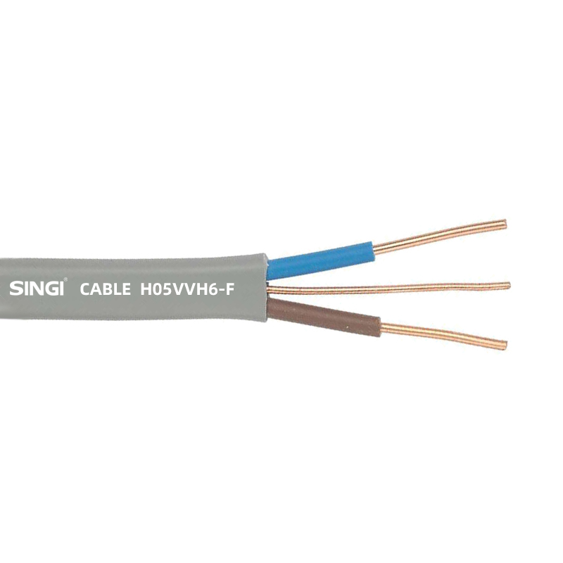 Cable plano doble y de tierra CE H05VVH6-F